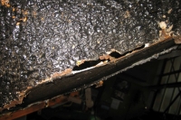 U406_3_025