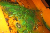 U406_3_030
