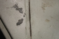 U406_3_069