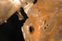 U421_Cabrio_080