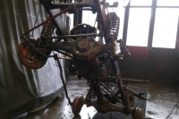 U411_Froschauge_029
