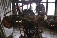 U411_Froschauge_030