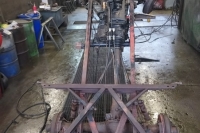 U411_Froschauge_031