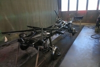 U411_Froschauge_035
