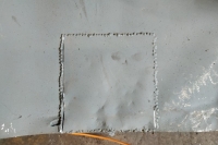 U411_Froschauge_057