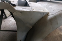 U411_Froschauge_060