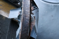 U411_Froschauge_067