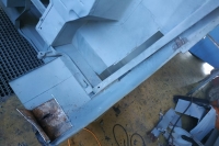 U411_Froschauge_070