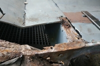 U411_Froschauge_071
