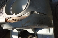 U411_Froschauge_079
