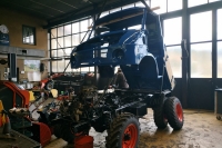 U411_Froschauge_097