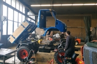 U411_Froschauge_098