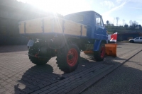 U411_Froschauge_103