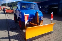 U411_Froschauge_104