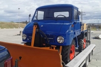 U411_Froschauge_108