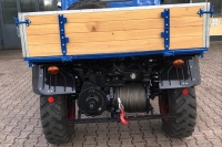 U411_Froschauge_110