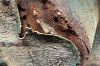 IMG-20260129-WA0014
