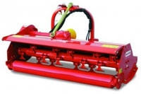 Maschio_001