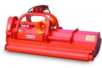 Maschio_002
