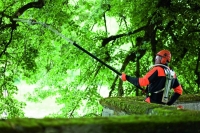 Stihl Baumkletterer
