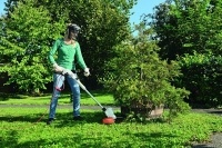 Stihl_008