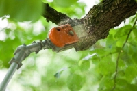 Stihl Baumkletterer