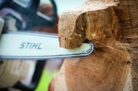 Stihl_018