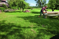 Stihl_025