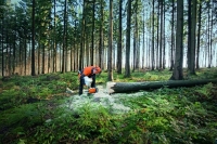 Stihl_026