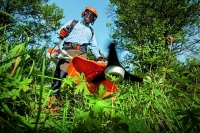 Stihl_040
