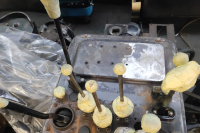 IMG-20241126-WA0027